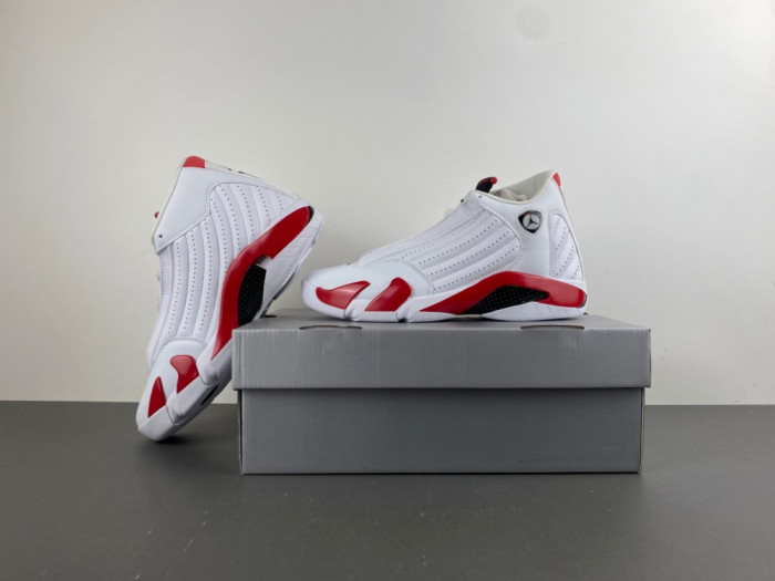 Air Jordan 14 Retro 487471-100