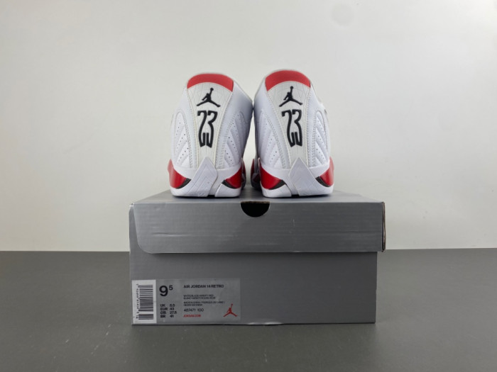 Air Jordan 14 Retro 487471-100